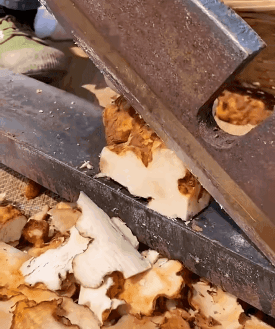 【非遺古方】茯苓薏濕茶 23 00a2df993b06c47a2811ad23ed02282f3267210859551004969569EN27fd67e98031977caaab006dbc46949bd.gif