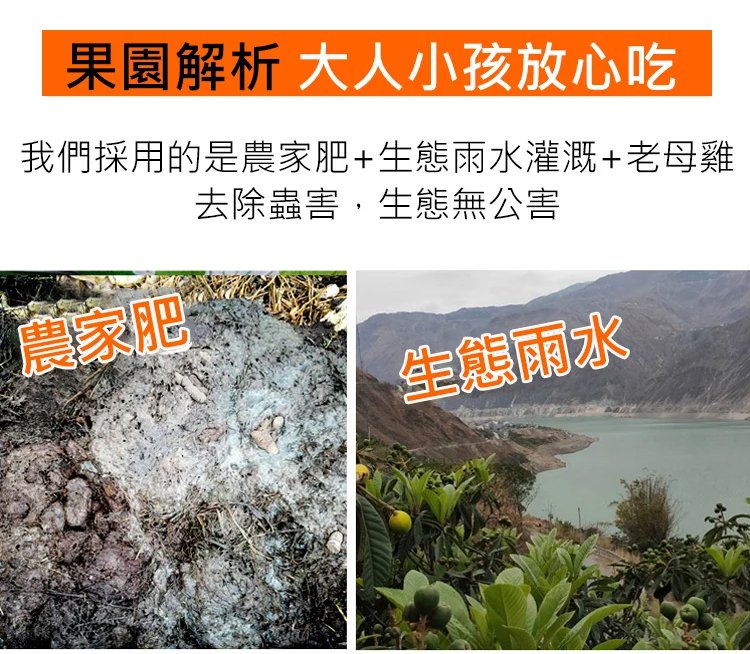 竹蜂鹽枇杷果乾 34 b3e97f880b9d6b6c019d4c9613b48414 竹蜂鹽枇杷果乾