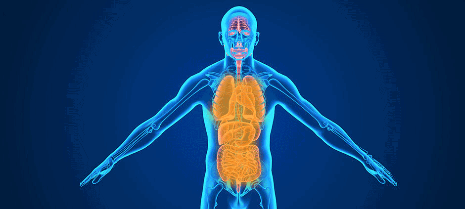 小葉苦丁茶 21 b53f85fd0de5659aa5e4d9c3cea3dddf 小葉苦丁茶