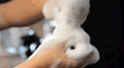 南京同仁堂靈芝人參何首烏白轉黑洗髮皂何首烏洗髮皂洗頭側柏葉洗髮皂手工皂角中藥純天然頭髮白轉黑皂100克每盒 南京同仁堂靈芝人參何首烏白轉黑洗髮皂