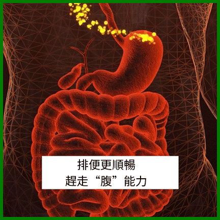 【潤腸通便】李時珍清青膠囊 13 1-(4).gif