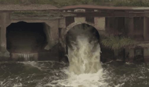 xq_04.gif