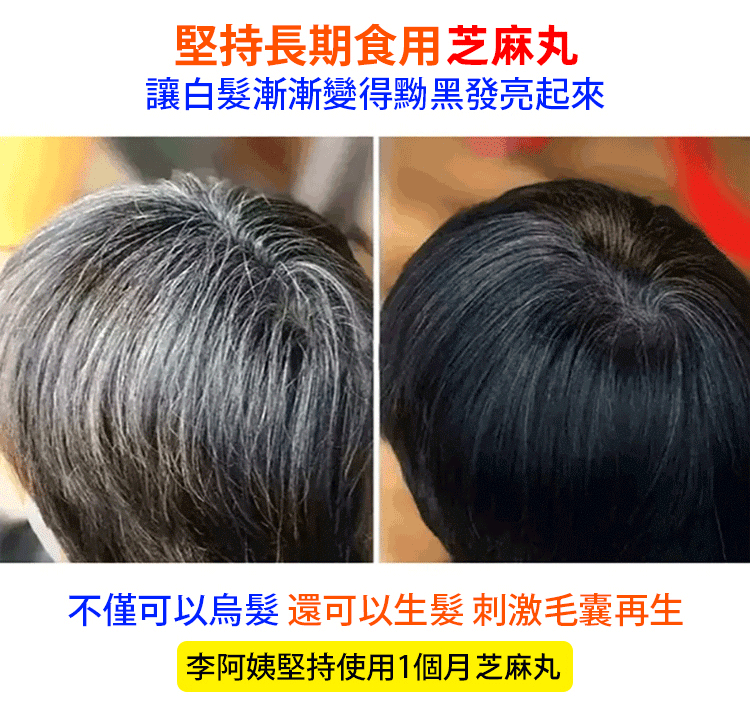 五珍芝麻丸 五珍芝麻丸