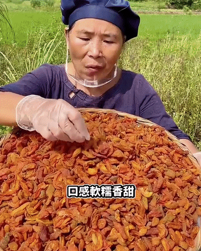 竹蜂鹽枇杷果乾 2 d48472ae52753005990e621b6f7af77a 竹蜂鹽枇杷果乾