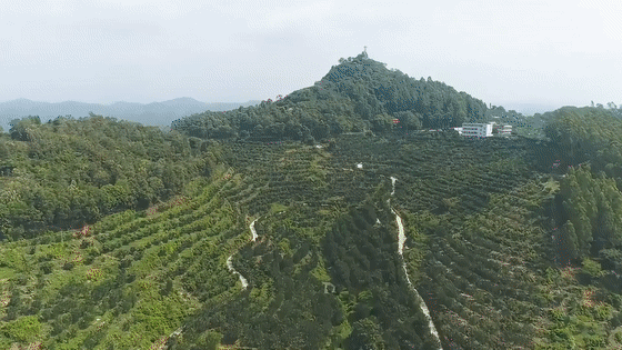 1[00-00-00--00-00-05].gif