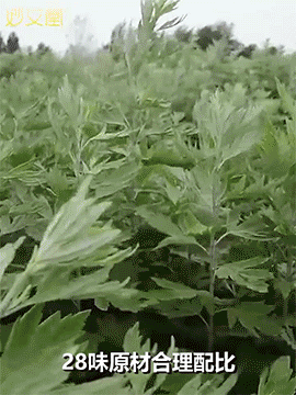 二十八味草本足浴包 6 d9c349dda4eb42fc9ba516225c2f3be4 二十八味草本足浴包