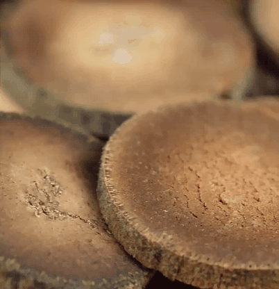24e3906a57e4701e2f3ba705c72361be.gif