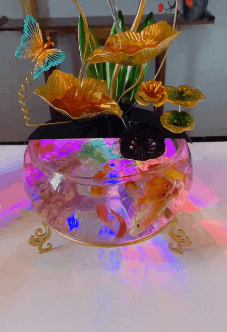 05.gif