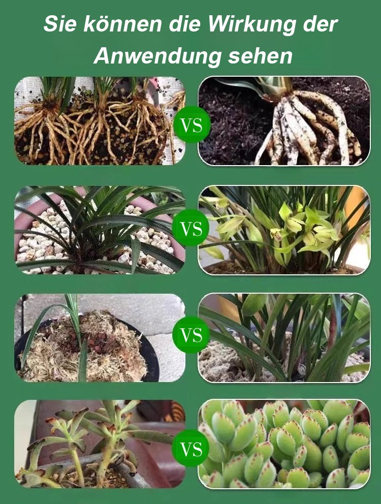 翻译件-JS-通用型植物花卉复活液-1153785_12.jpg