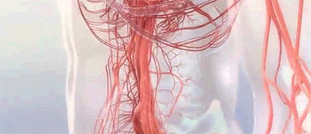 化唐消穴位磁療貼 10 e5cb44481b8ccd21610af79e02f1da25 化唐消穴位磁療貼