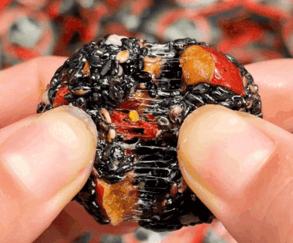 五珍芝麻丸 五珍芝麻丸