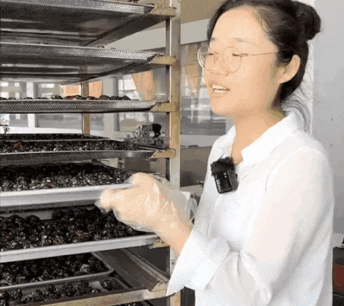 五珍芝麻丸 五珍芝麻丸