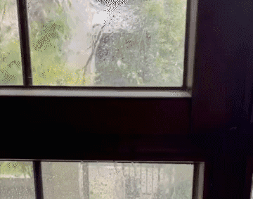 透明防水膠Honeycam 2023-11-20 20-45-32.gif