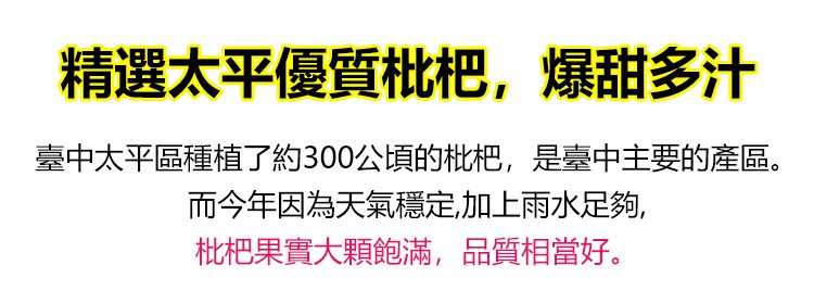 竹蜂鹽枇杷果乾 3 f6238baa6df2687d2d1b9088dc2d16bb 竹蜂鹽枇杷果乾