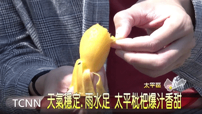 竹蜂鹽枇杷果乾 5 f6be250f95901723be82a20df9585a3f 竹蜂鹽枇杷果乾