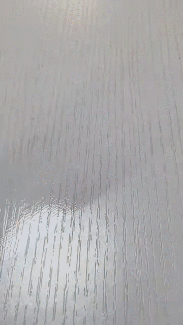 1 (16)-1.gif