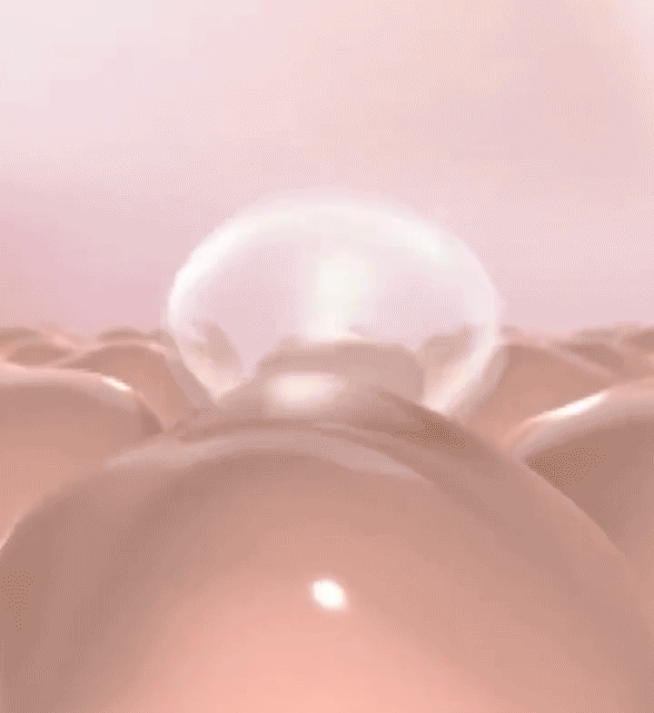 1_15.gif