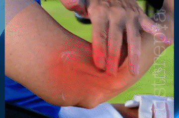 德國馬膏 10 f729e2f52dfccfd723ac1fba666d3311 德國馬膏