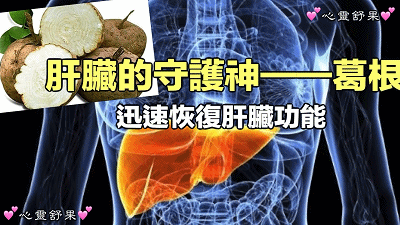 葛根五味子牛磺酸片