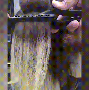02.gif
