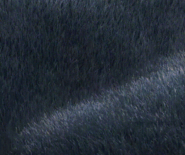9e71df86699ce1e0c073a44df49048ca6311069391005202310PL2c1901ad691805497ffb100022af460ee.gif