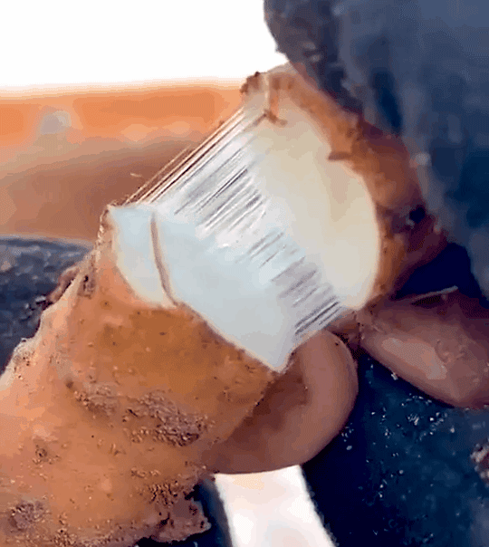 鐵棍山藥刀削麵 15 fd9a1070cab845784e9dd114fc4f3d54 鐵棍山藥刀削麵