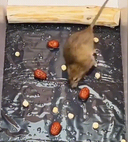 详情_08.gif
