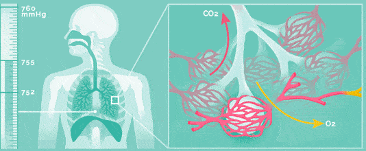 30a155049d4ae8534abfdce11c489fc1.gif